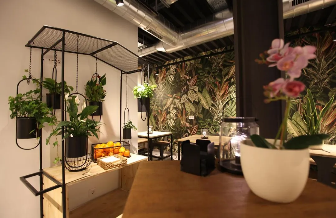 Vtz The Botanic Hostel-1