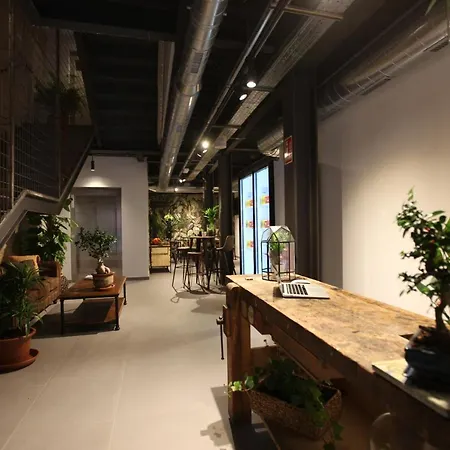 Vtz The Botanic Hostel-3